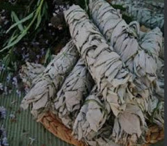 CALIFORNIA WHITE SAGE-Large Stick